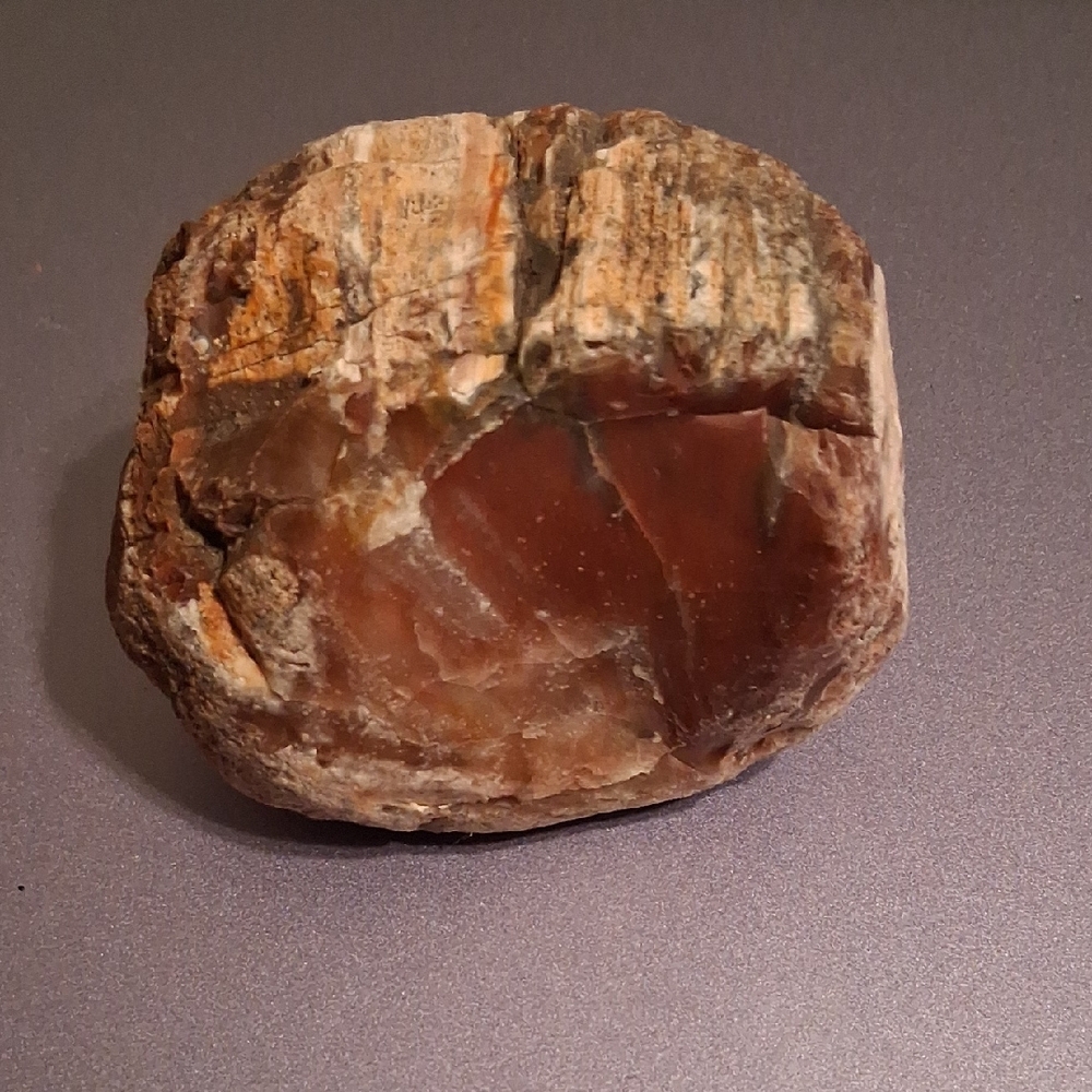 Natural Petrified Wood Stone